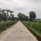 xây dựng nông thôn mới trên quê hương xã Định Hải